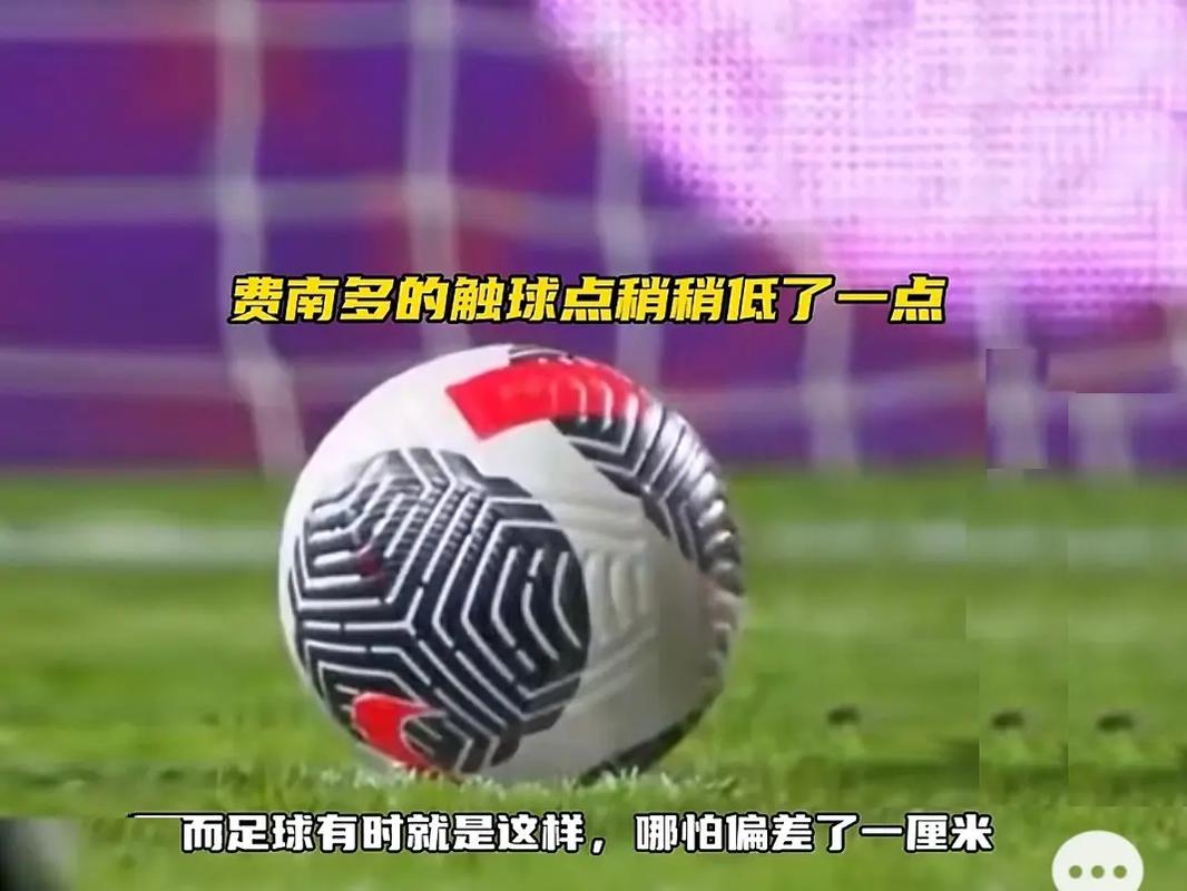迷表达了感