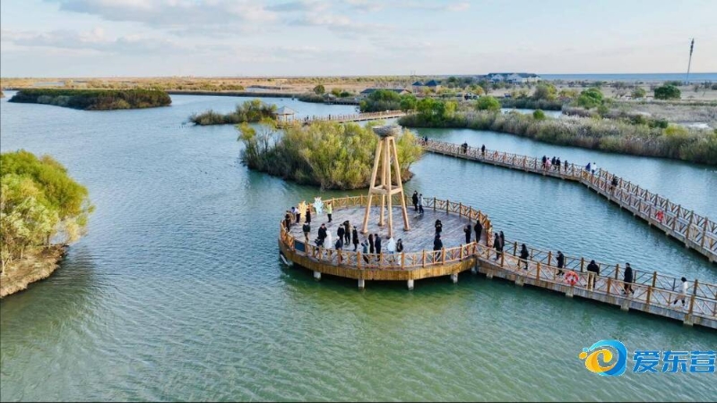 也为未来的 也为未来的