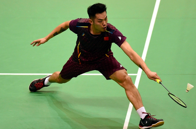 看看是什么 看看是什么